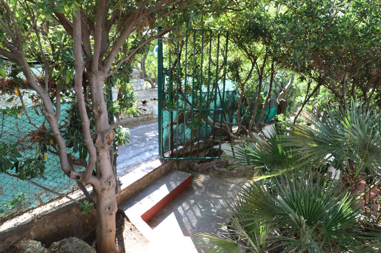 Casa Elvira Villa Terrasini Eksteriør bilde