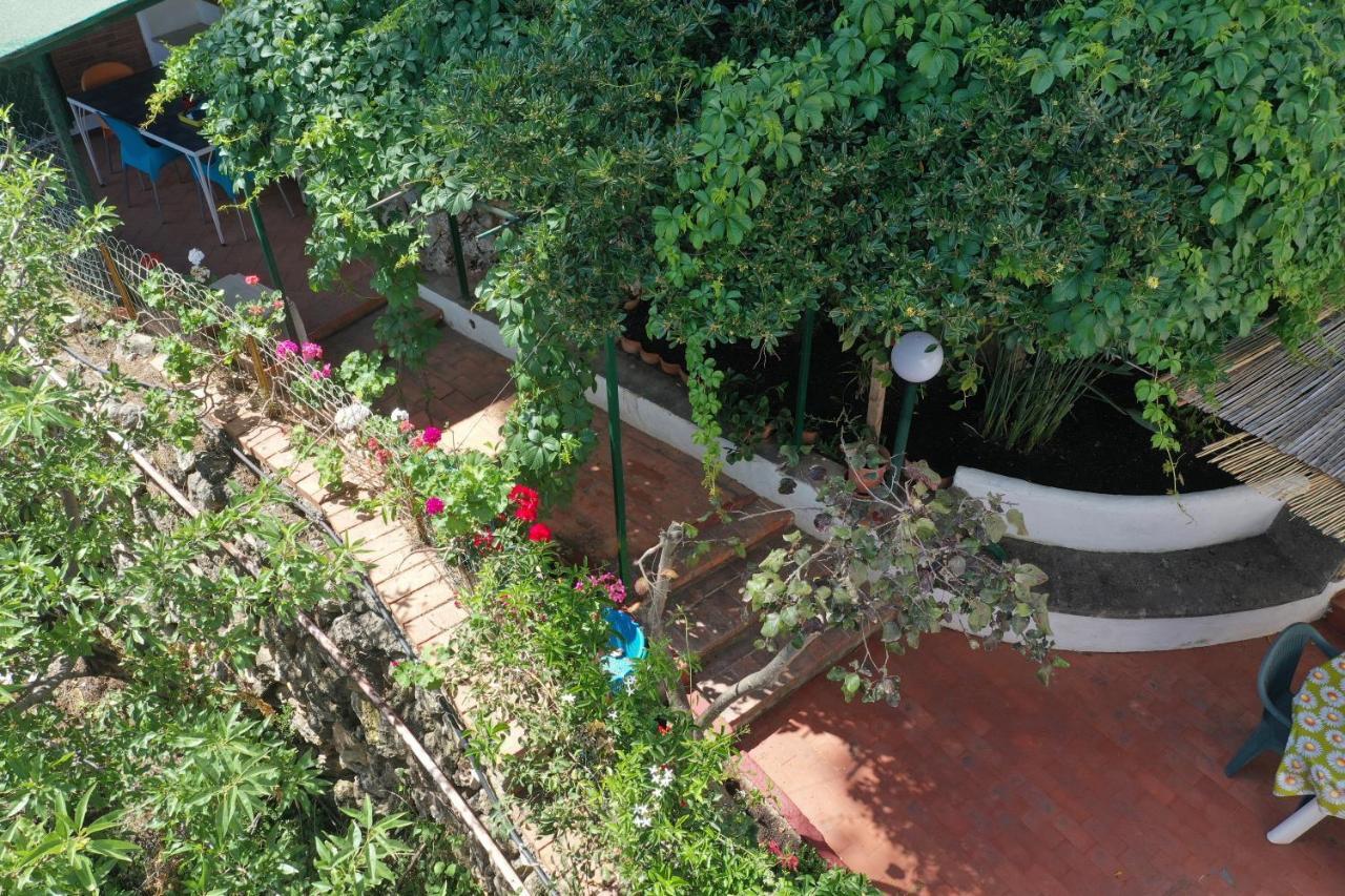 Casa Elvira Villa Terrasini Eksteriør bilde
