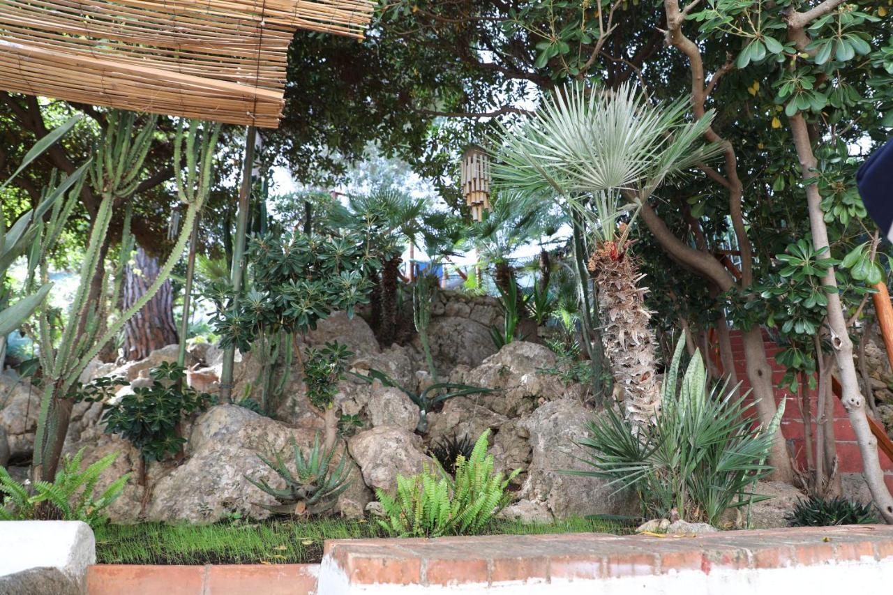 Casa Elvira Villa Terrasini Eksteriør bilde